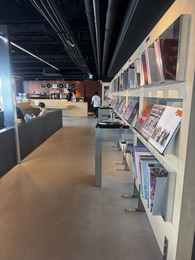 Vinyl Han-River