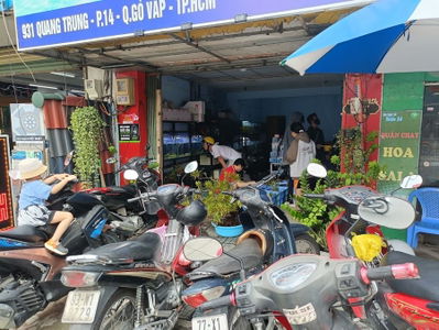 Cá cảnh Thủy sinh AIO