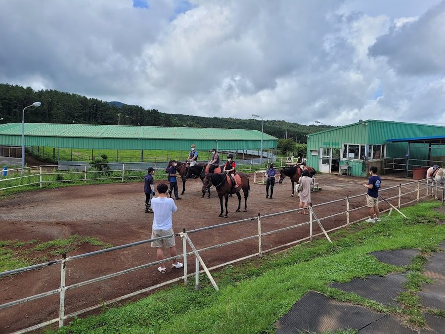 Jeju Horse Riding Park