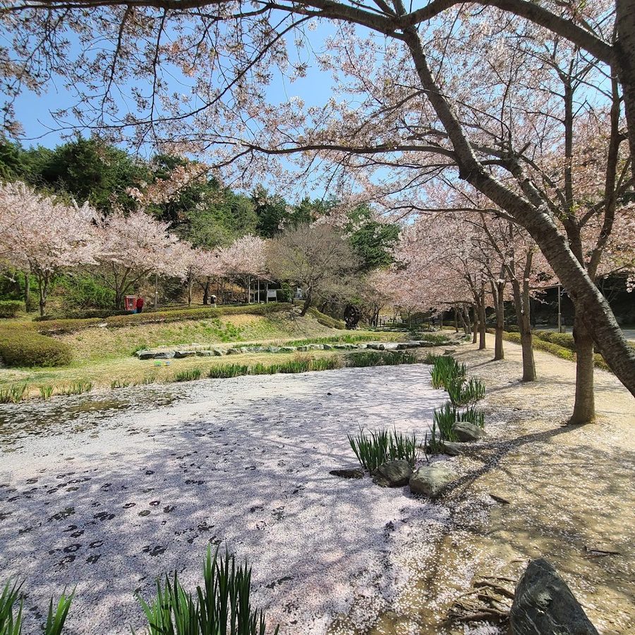 Hwadongmot Waterside Park