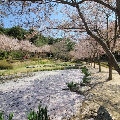 Hwadongmot Waterside Park