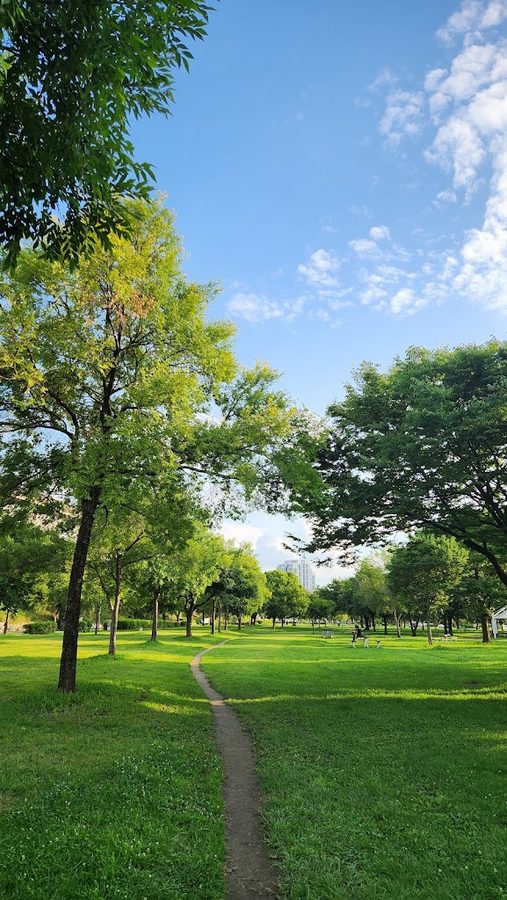 蚕院漢江公園