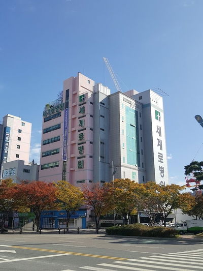 Segye Ro Hospital