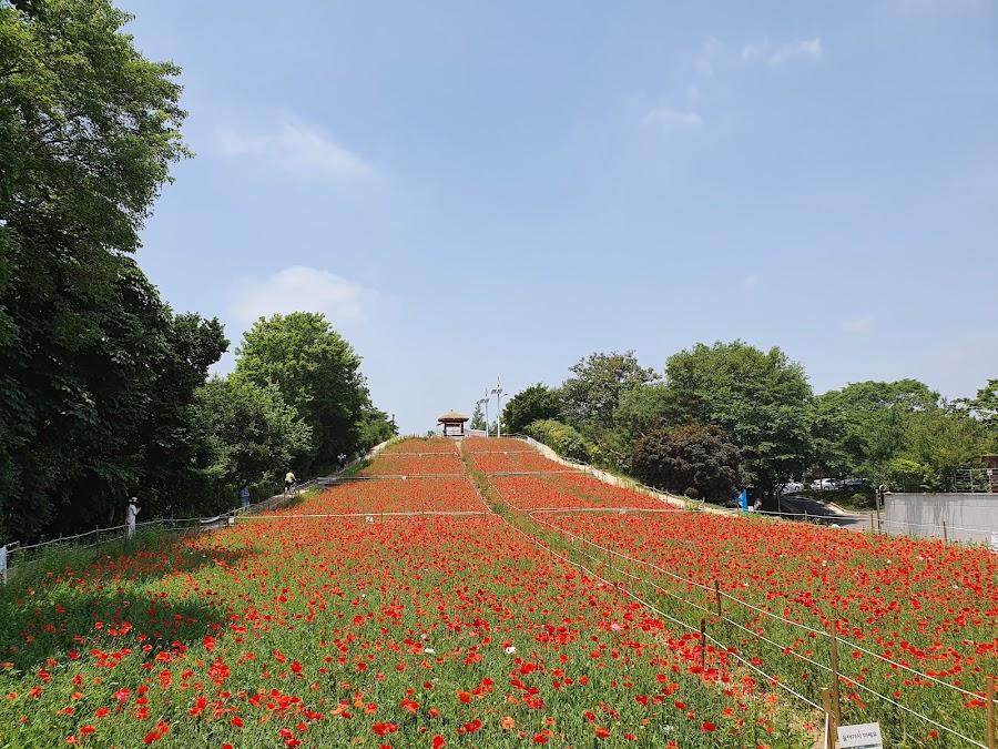 Olympic Park Wildflower Garden