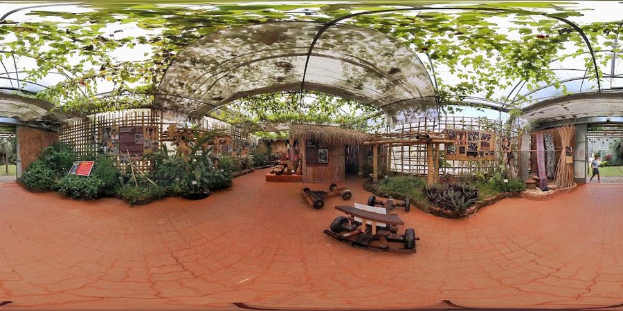 Queen Sirikit Botanic Garden