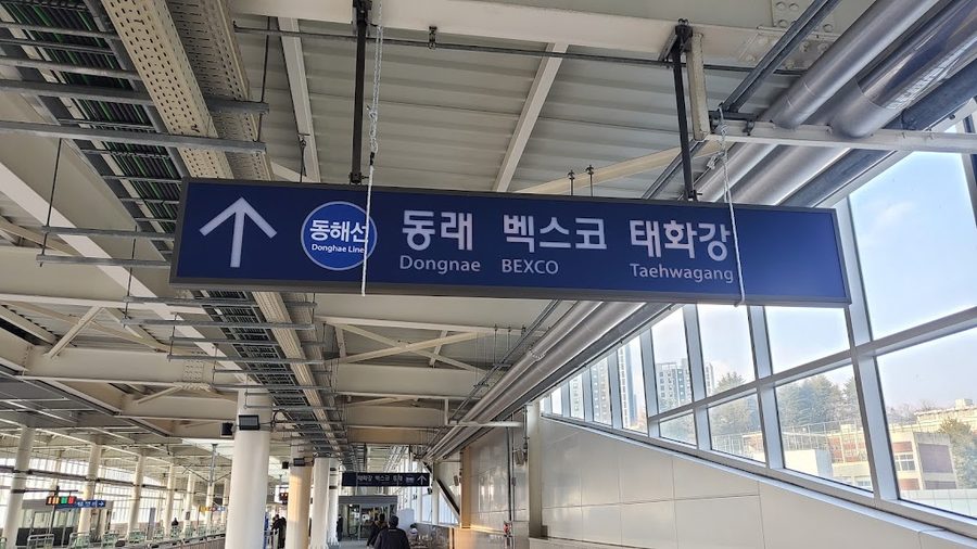 Gyodae