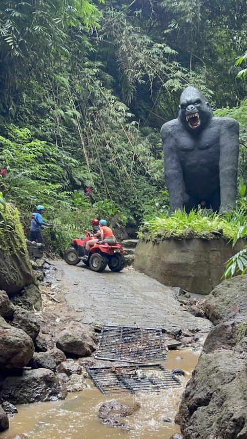Dadi Bali Adventures