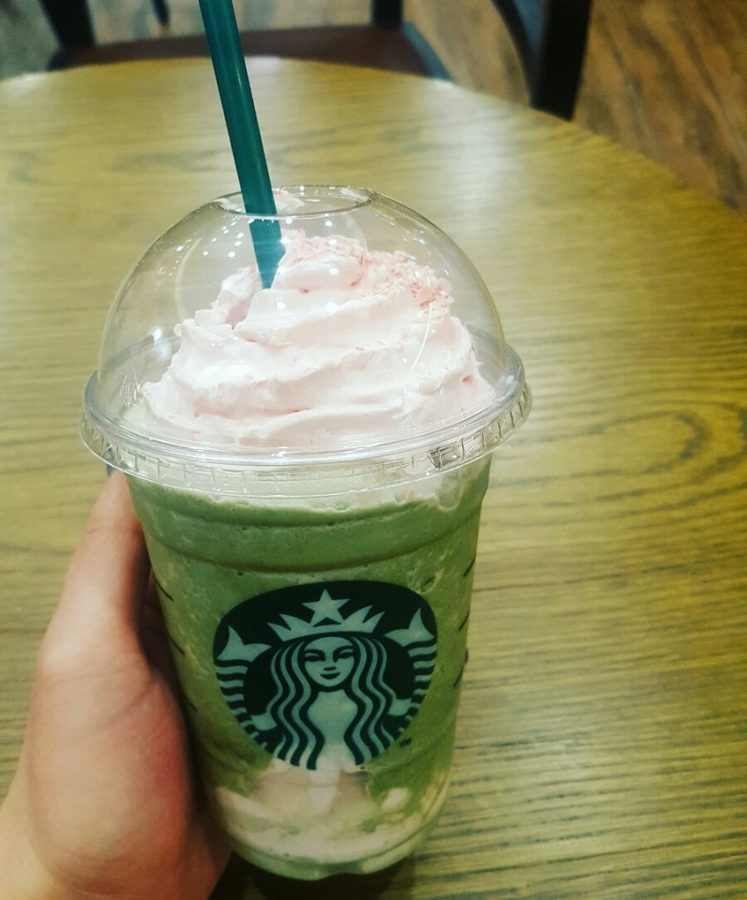스타벅스 순화동더샾점