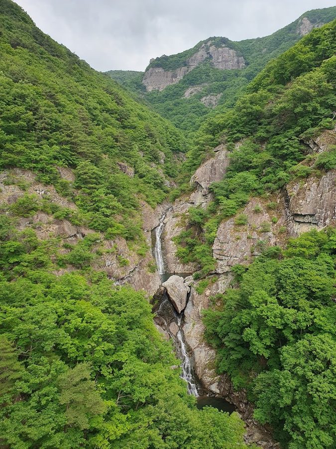 Heungnyong Pokpo