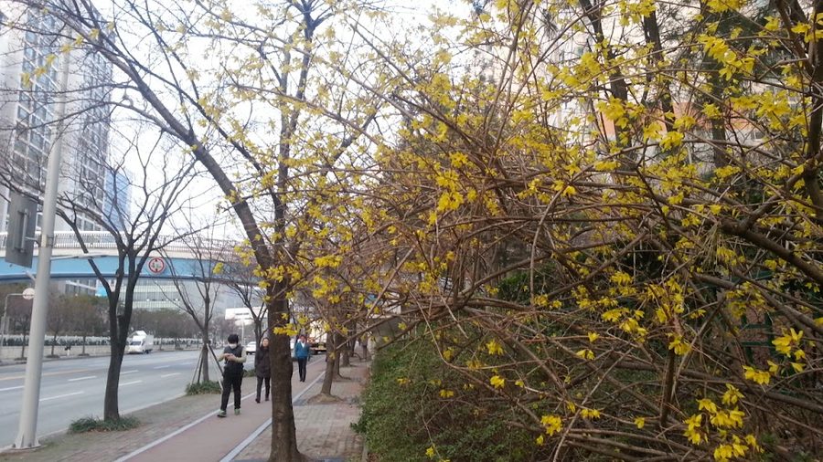 석로식당