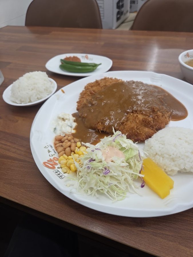 Seoul Wang Donkatsu Apgujeong Branch