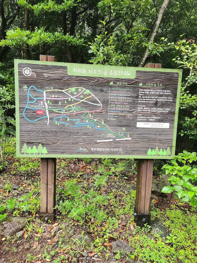 Seogwipo Healing Forest Healing Center