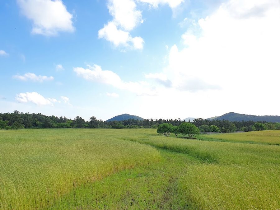 Mal Bangmok Gongwon
