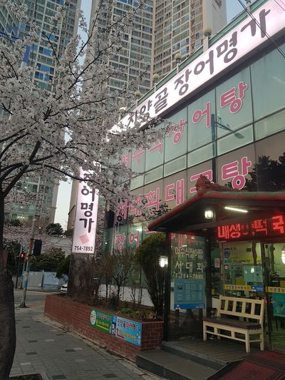 Jin-Yang-Gol