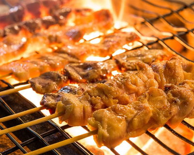 Fujidori