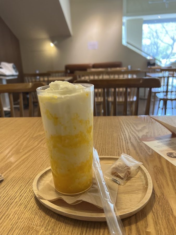 Ceragem Well Cafe Seoul Apgujeong Direct Branch