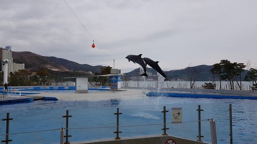 Geoje Seaworld