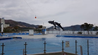 Geoje Seaworld