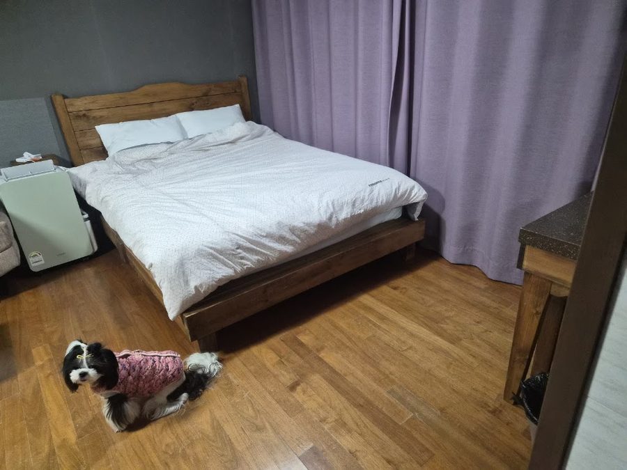 Taohouse_ 桃屋