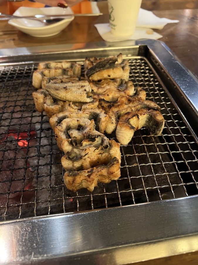 천상애장어가