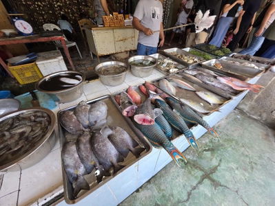 Sutukil Seafood Market Restaurant Chain