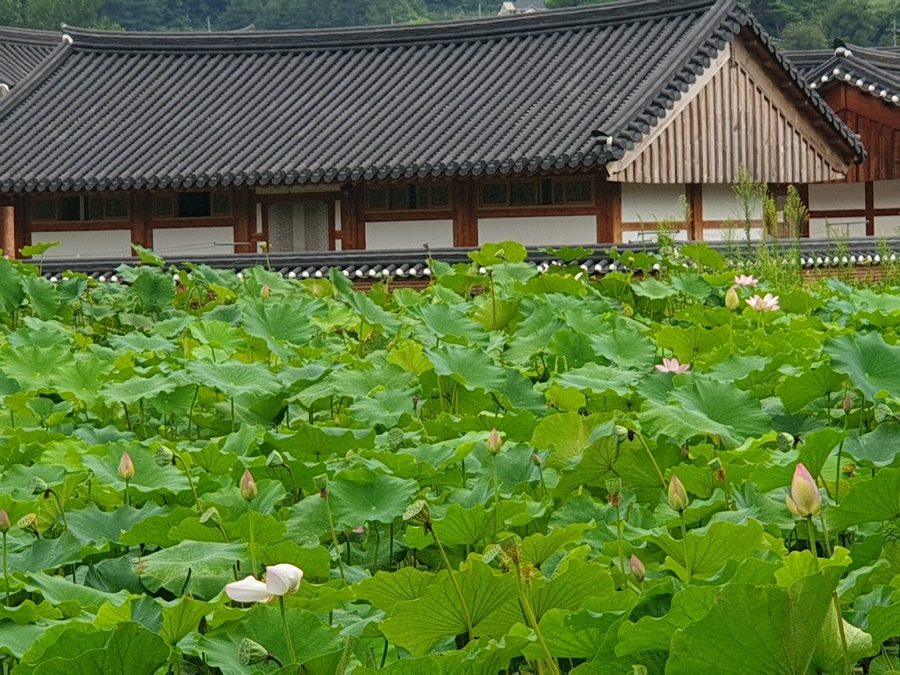오시오식당