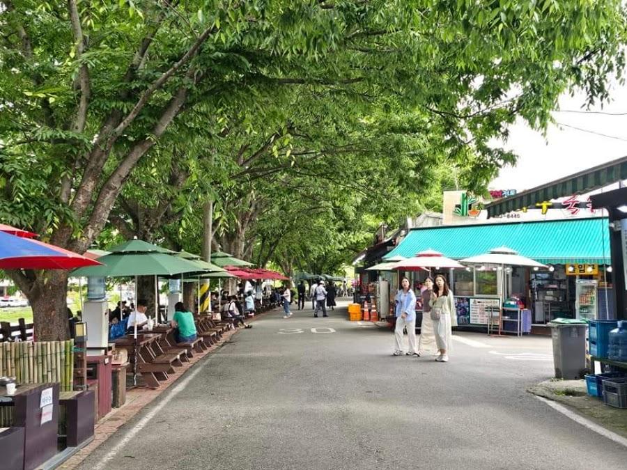 Damyang Guksu Street