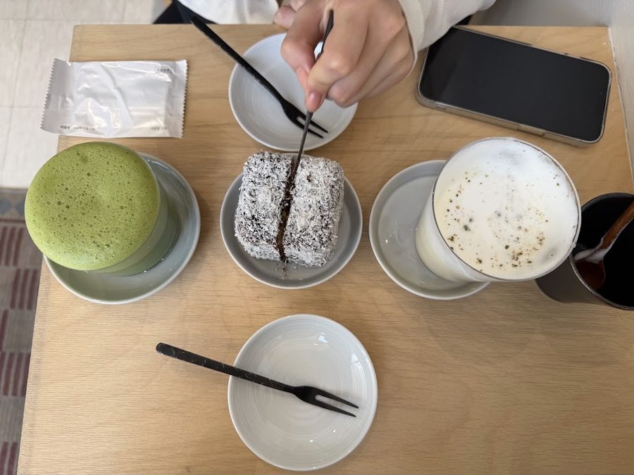 코르츠