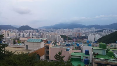 에덴동산타운