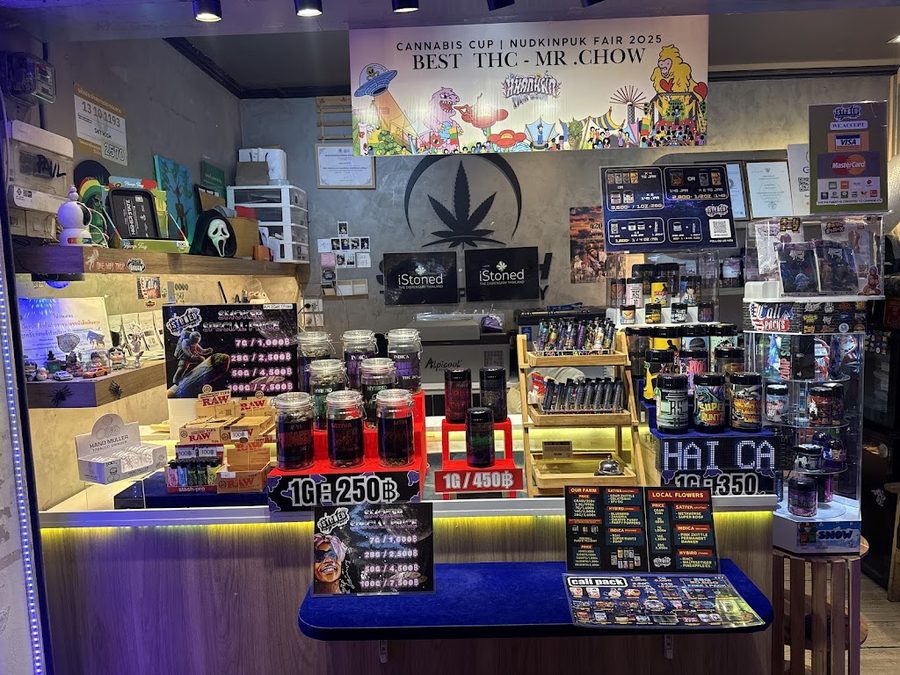 Istoned Khaosan Road (Plantopia)