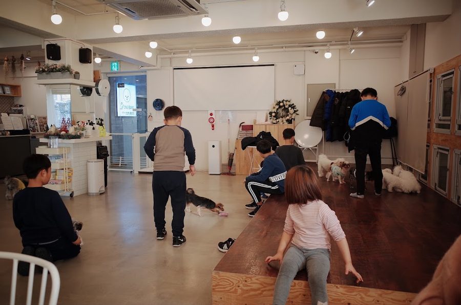 Donibani Dog Cafe