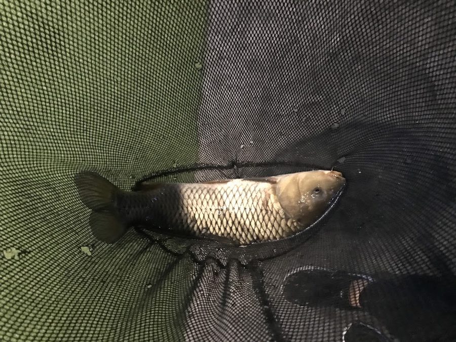 Bungeo-ui Sin Indoor Fishing Pond