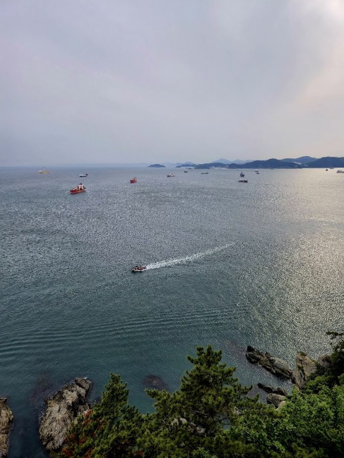 Rose Tunnel (Jeoryeong Coastal Walkway)