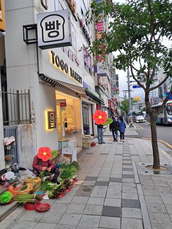 투고베이커리