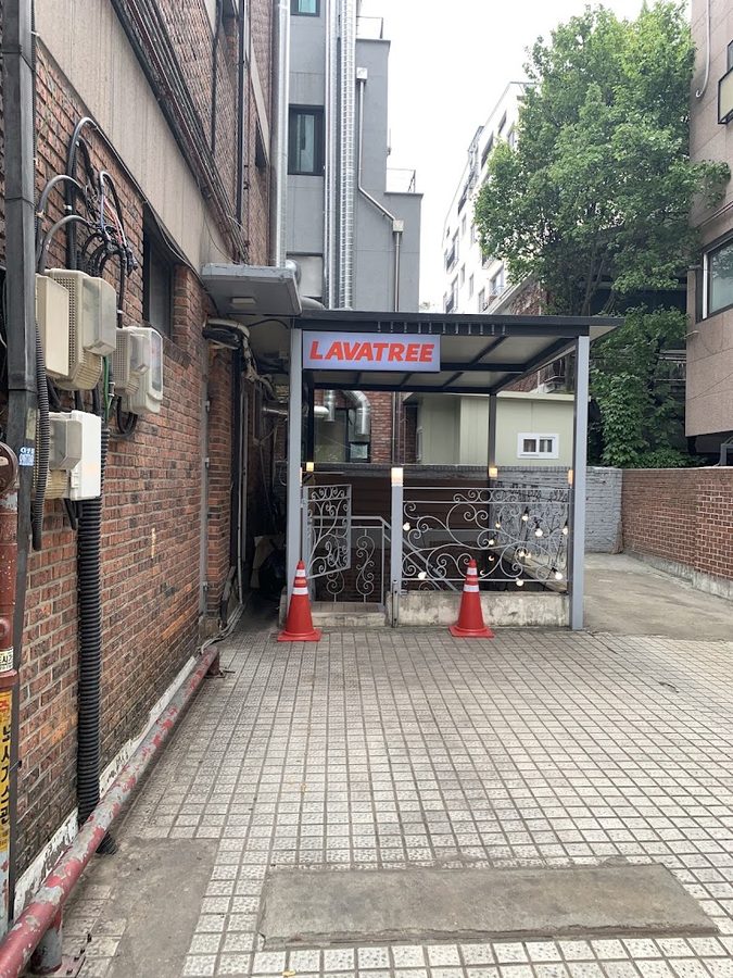 LAVATREE APGUJUNG
