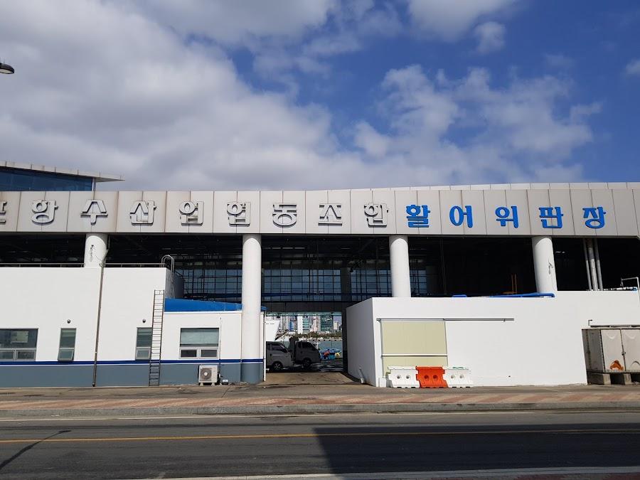 Pohang Suhyeop Songdo Live Fish Hoe Center