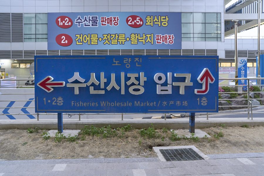 Dokdo Susan