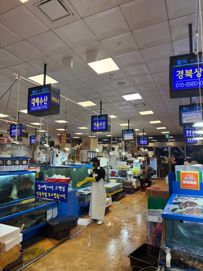 Seoul Susan