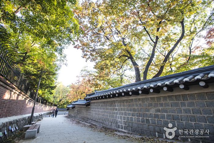 Deoksugung Doldamgil (Stone-wall Road)
