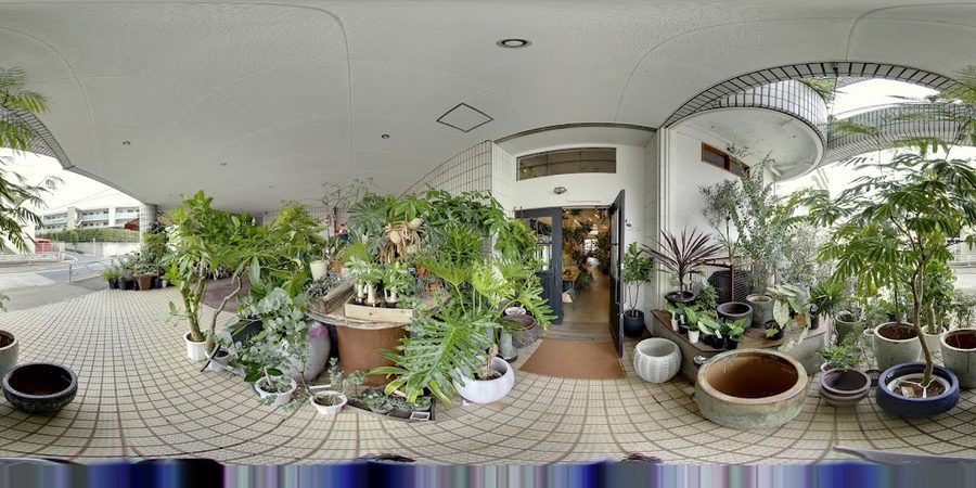 Tokyo garden
