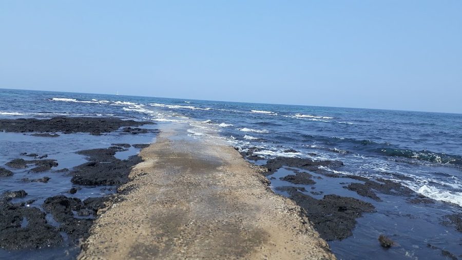 トンゲ海岸