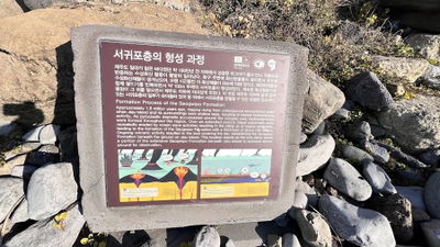 西歸浦層貝類化石