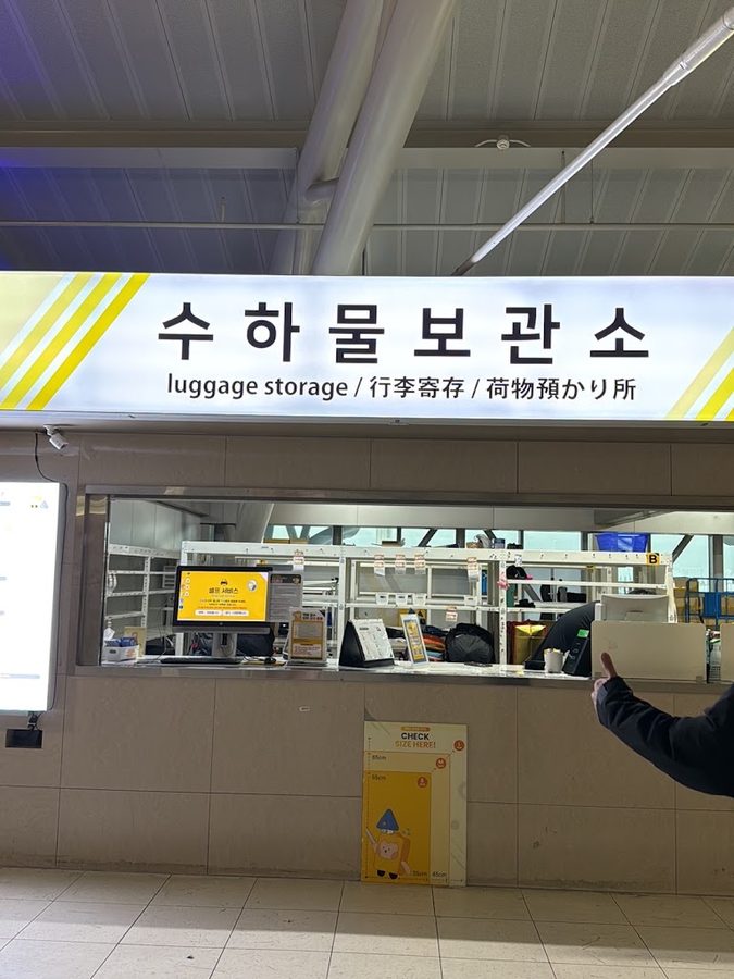 짐캐리 김해공항 국제선점
