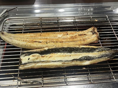 Seokchon Homin Freshwater Eel
