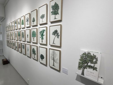 Albus Gallery