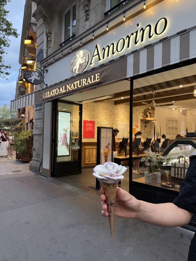 Amorino Gelato - Paris Saint Michel