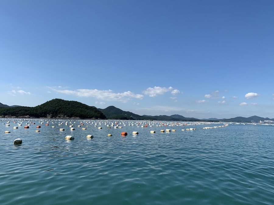 白夜島