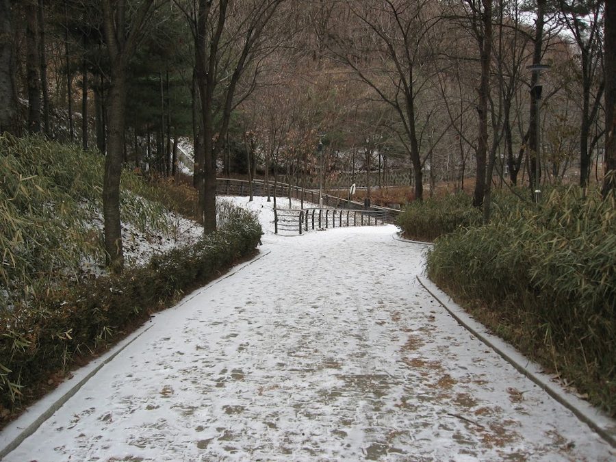 Sangdo Park
