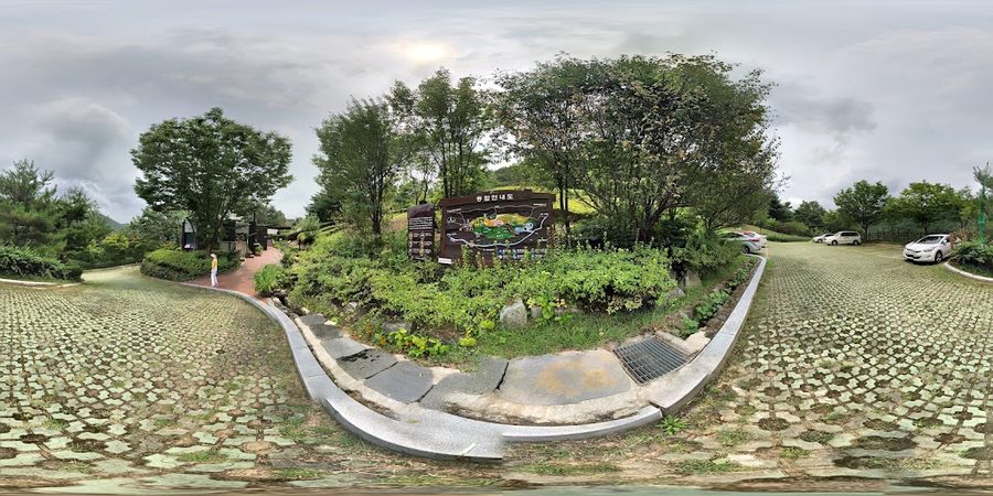 Sandong Ecological Forest