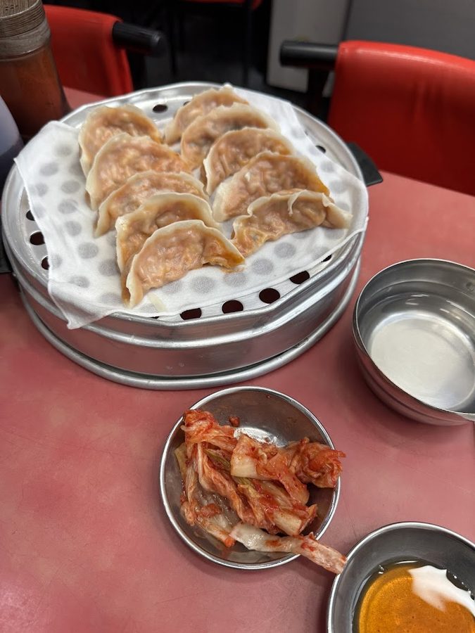 Mapo Mandu